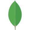 MERN Stack Development Services